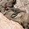 EBERLESTOCK HALFTRACK PACK - MULTICAM