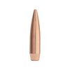 Entdecke die MatchKing 22 Caliber Hohlspitzen-Geschosse 🏹 für präzises Schießen auf lange Distanz. Ideal für Wettkämpfe und höchste Ansprüche!